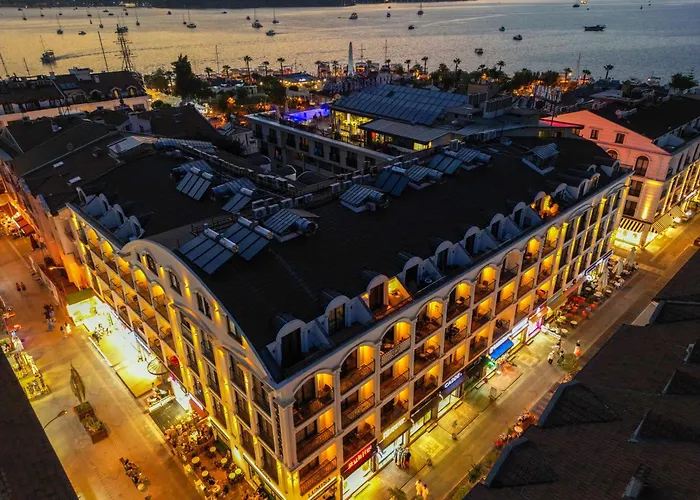 Cordon 61 By Ocekhomes *