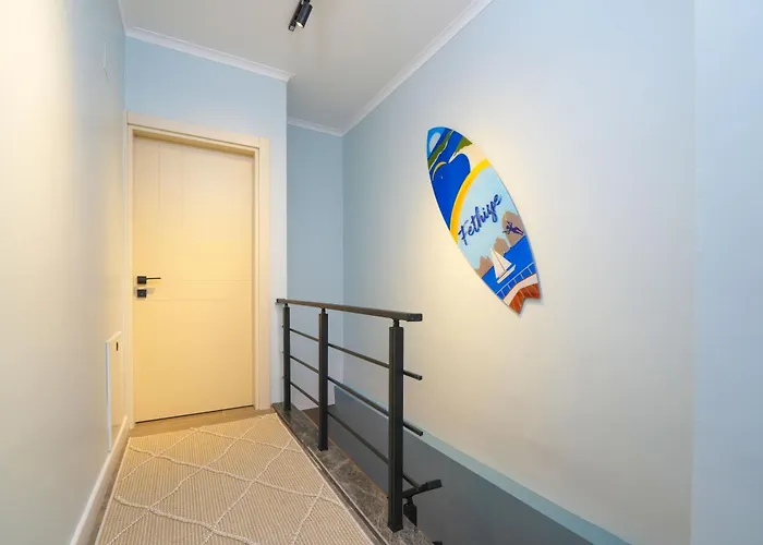 Cordon 61 By Ocekhomes *