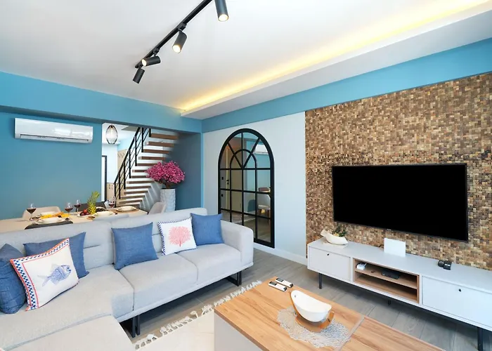 Cordon 61 By Ocekhomes