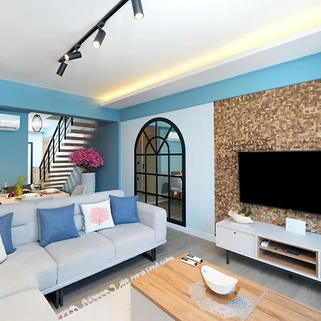 Cordon 61 By Ocekhomes